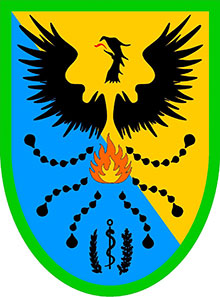 Folk group's logo